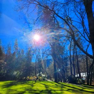 Meet your Posher, Marcy